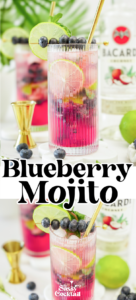 best blueberry mojito