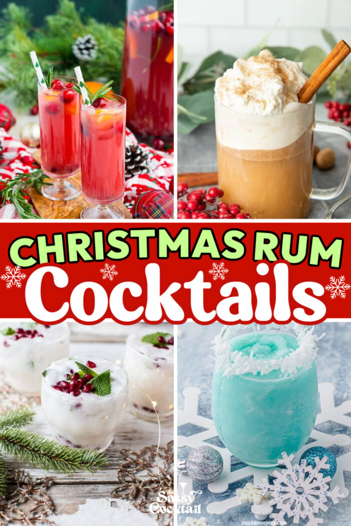 12 Best Christmas Rum Cocktails for Holiday Entertaining - The Sassy ...
